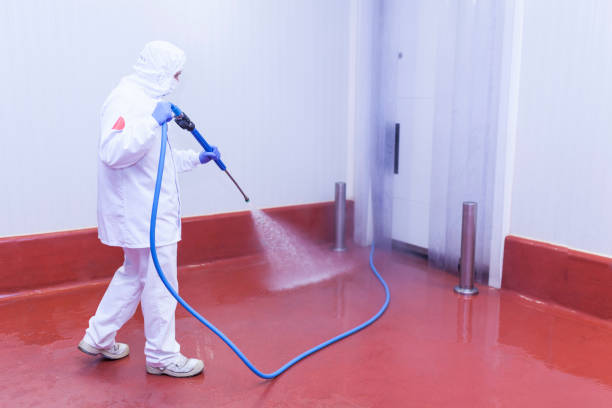 Boat and Dock Cleaning in Hicksville, NY